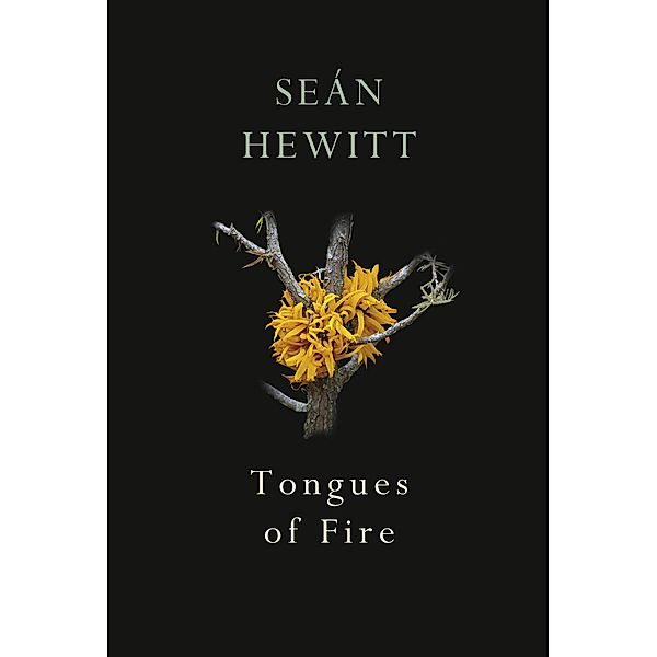 Tongues of Fire, Seán Hewitt