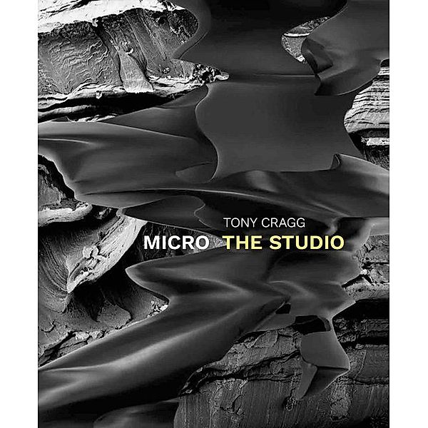 Tony Cragg. Micro - The Studio, Frank Tschentscher, Jon Wood