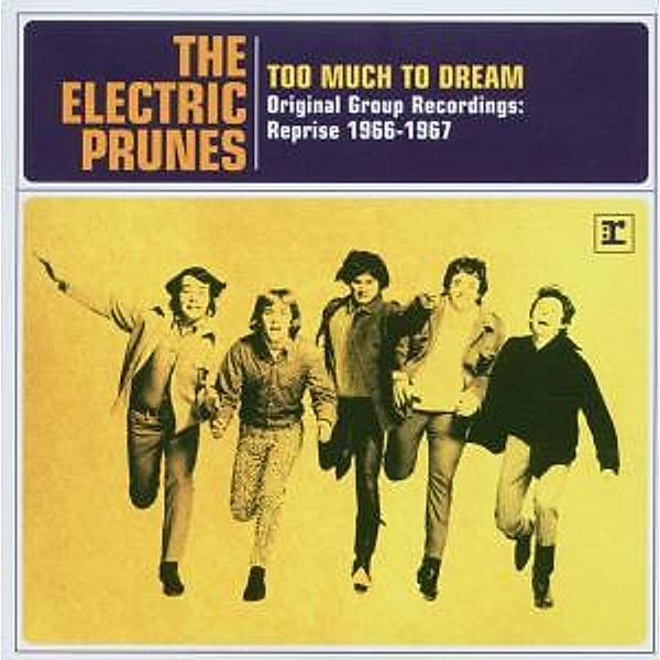 Too Much To Dream, The Electric Prunes