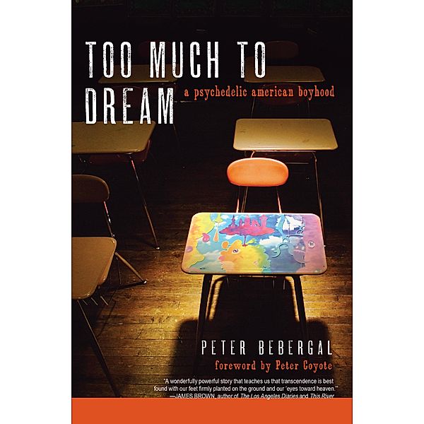 Too Much to Dream, Peter Bebergal