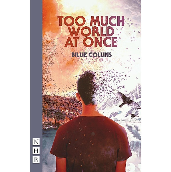 Too Much World at Once (NHB Modern Plays), Billie Collins