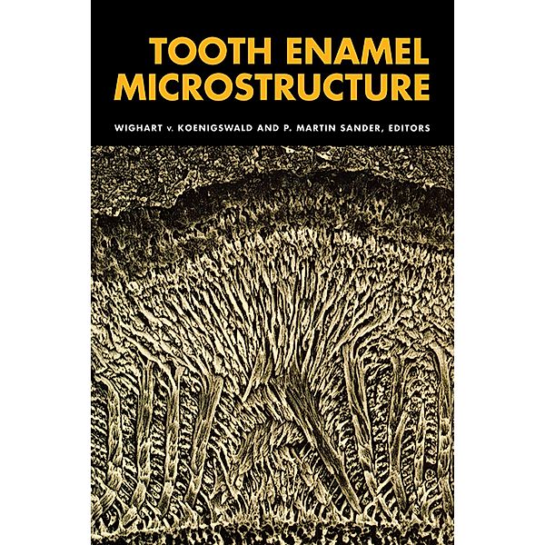 Tooth Enamel Microstructure