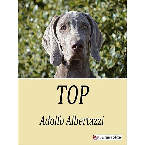 Top, Adolfo Albertazzi