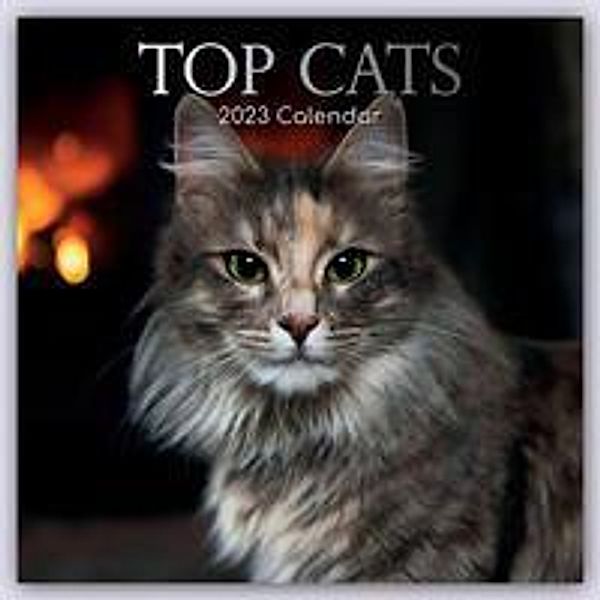 Top Cats - Top-Katzen 2023 - 16-Monatskalender, Gifted Stationery Co. Ltd