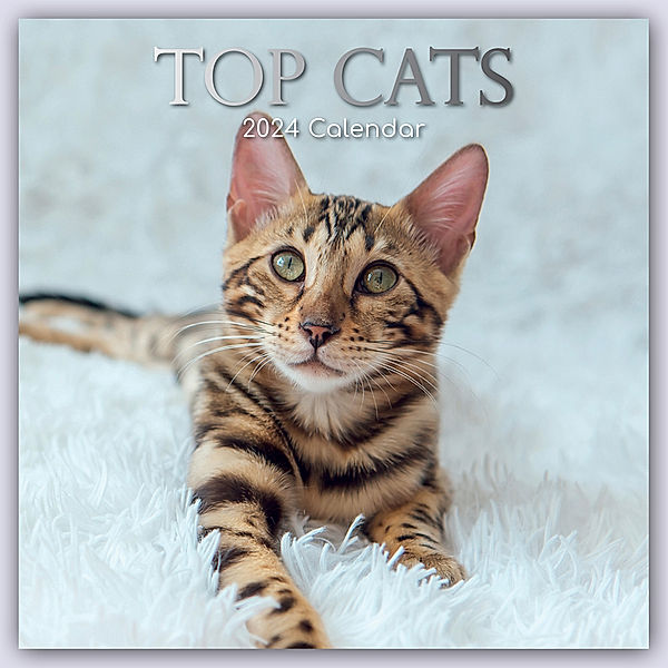 Top Cats - Top-Katzen 2024 - 16-Monatskalender, Gifted Stationery Co. Ltd