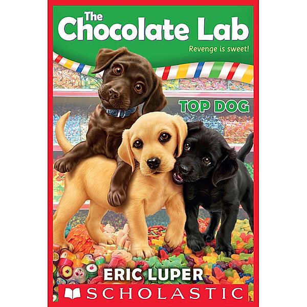 Top Dog / The Chocolate Lab, Eric Luper