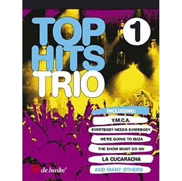 Top Hits Trio.Bd.1, Robert van Beringen