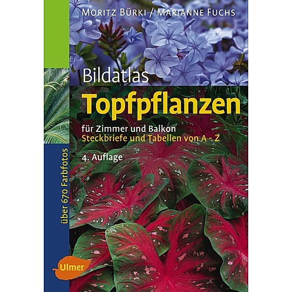 Topfpflanzen, Moritz Bürki, Marianne Fuchs