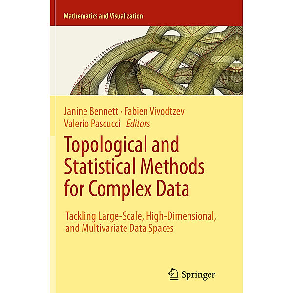 Topological and Statistical Methods for Complex Data