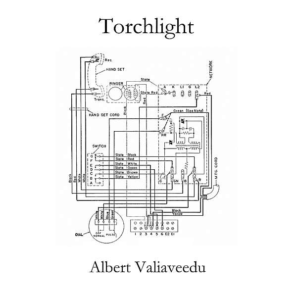 Torchlight (Coming In Hot, #1) / Coming In Hot, Albert Valiaveedu
