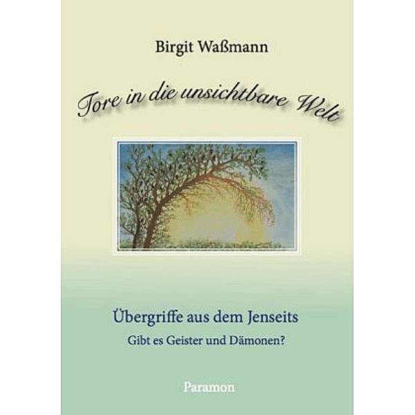 Tore in die unsichtbare Welt - Übergriffe aus dem Jenseits, Birgit Waßmann