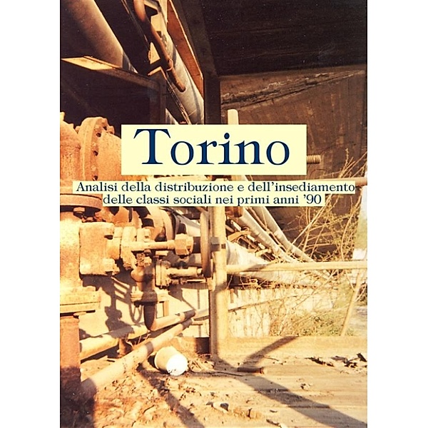 Torino. Analisi della distribuzione e dell'insediamento delle classi sociali nei primi anni '90, Andrea Boero