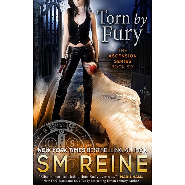 Torn by Fury (The Ascension Series, #6) / The Ascension Series, Sm Reine