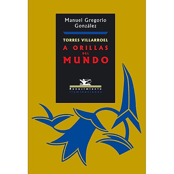 Torres Villarroel / Iluminaciones, Manuel Gregorio González