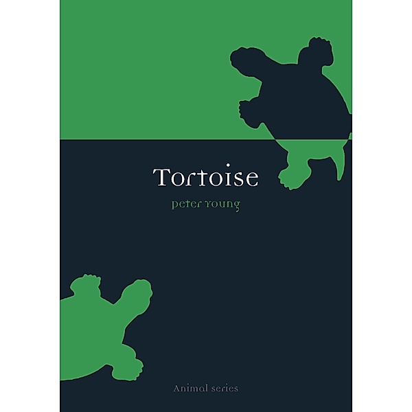 Tortoise / Animal, Young Peter Young
