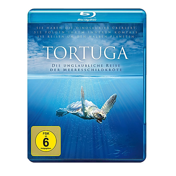 Tortuga - Die unglaubliche Reise der Meeresschildkröte, Melanie Finn