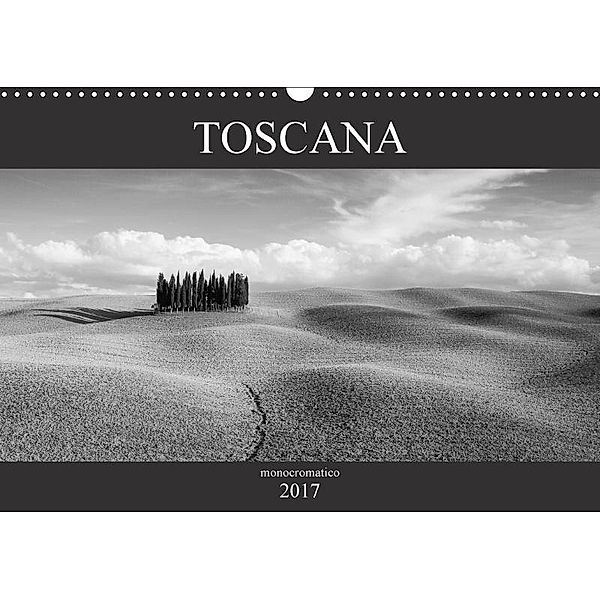 Toscana - monocromatico (Wandkalender 2017 DIN A3 quer), Peter Schürholz