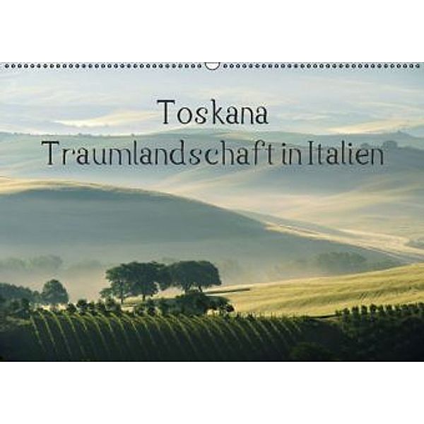 Toskana - Traumlandschaft in Italien (Wandkalender 2016 DIN A2 quer), LianeM