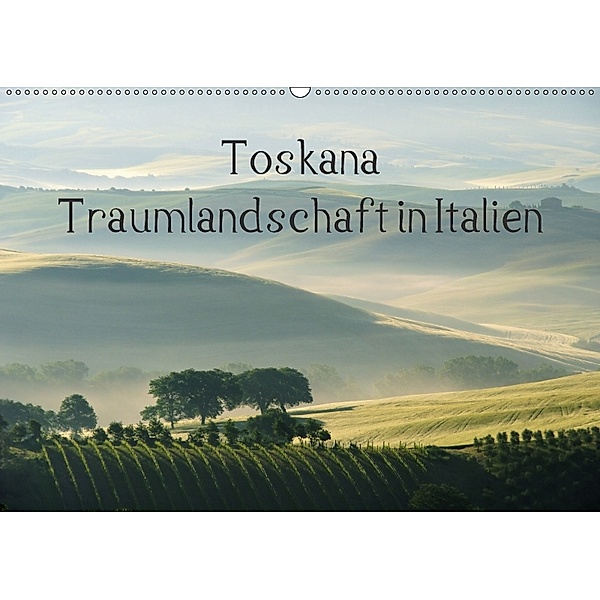 Toskana - Traumlandschaft in Italien (Wandkalender 2018 DIN A2 quer), LianeM