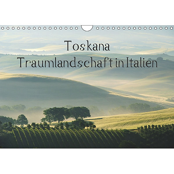Toskana - Traumlandschaft in Italien (Wandkalender 2019 DIN A4 quer), LianeM
