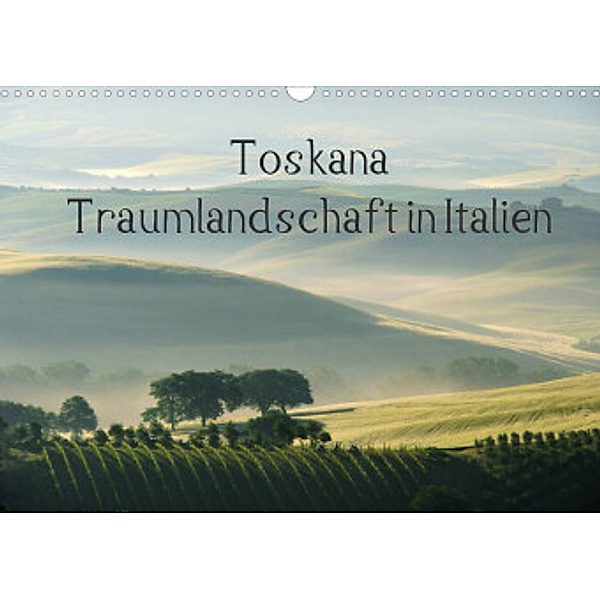 Toskana - Traumlandschaft in Italien (Wandkalender 2022 DIN A3 quer), LianeM