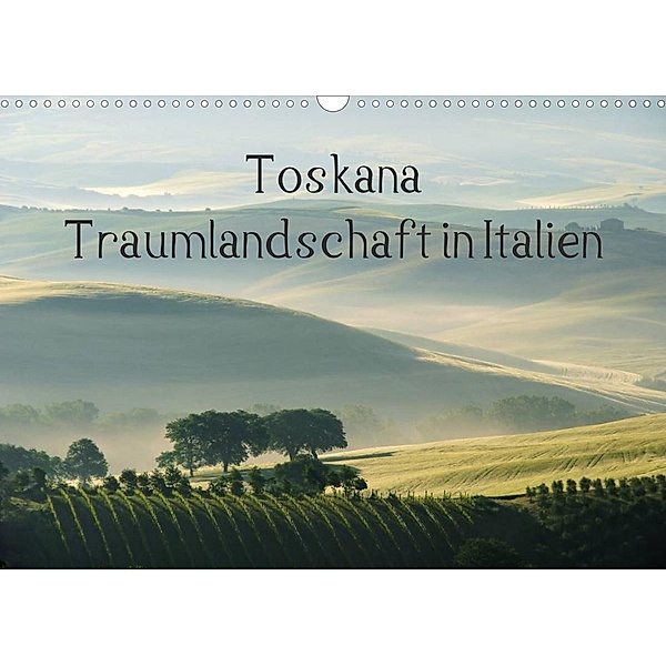 Toskana - Traumlandschaft in Italien (Wandkalender 2023 DIN A3 quer), LianeM