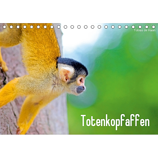 Totenkopfaffen (Tischkalender 2019 DIN A5 quer), Tobias de Haan