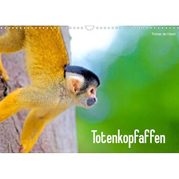 Totenkopfaffen (Wandkalender 2022 DIN A3 quer), Tobias de Haan