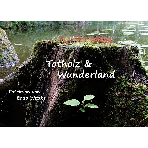 Totholz & Wunderland, Bodo Witzke