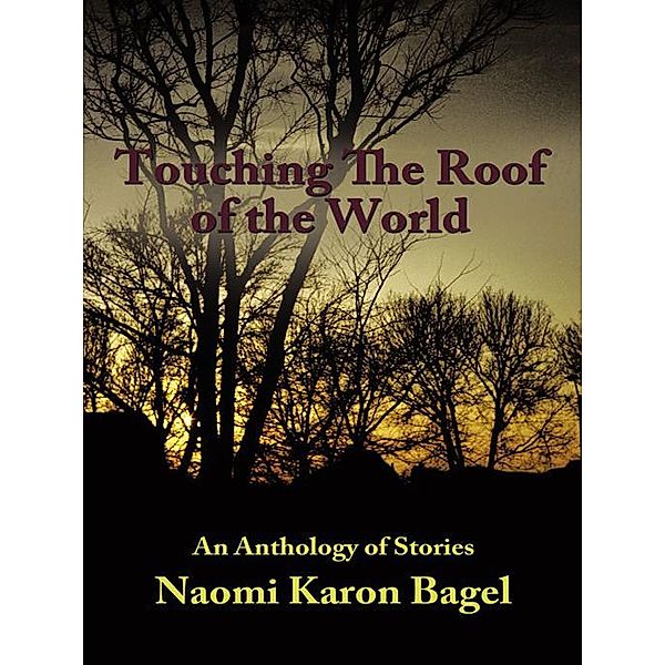 Touching the Roof of the World, Naomi Karon Bagel