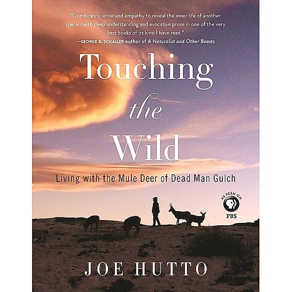 Touching the Wild, Joe Hutto