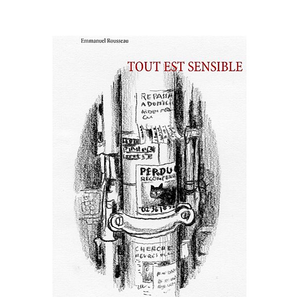 Tout est sensible, Emmanuel Rousseau