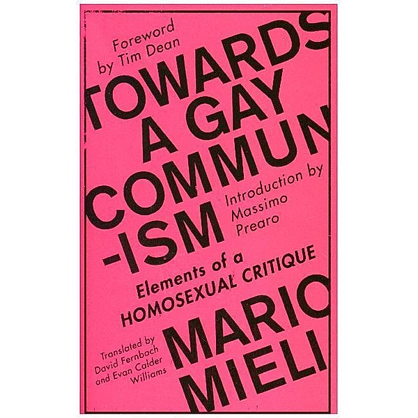 Towards a Gay Communism, Mario Mieli