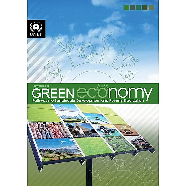 Towards a Green Economy