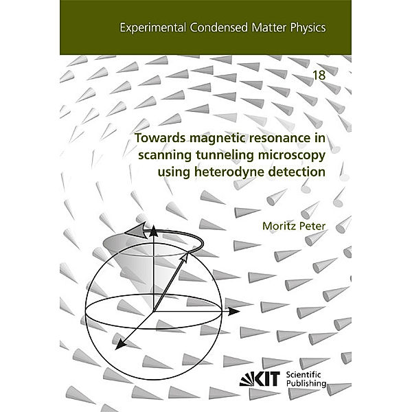 Towards magnetic resonance in scanning tunneling microscopy using heterodyne detection, Moritz Peter