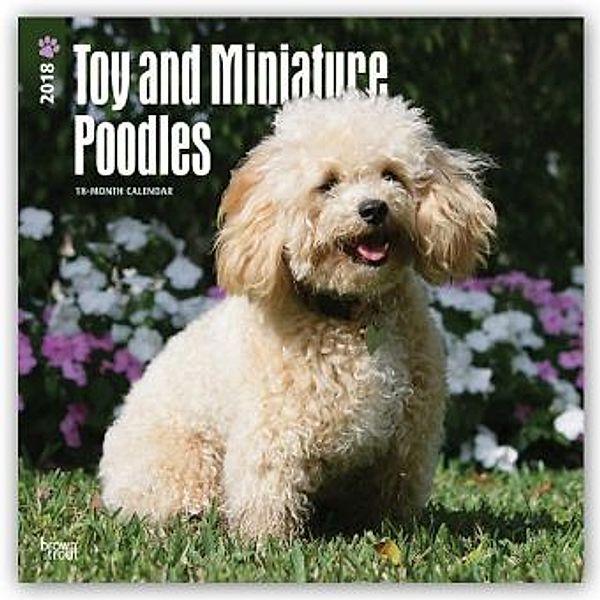 Toy and Miniature Poodles 2018, BrownTrout Publisher