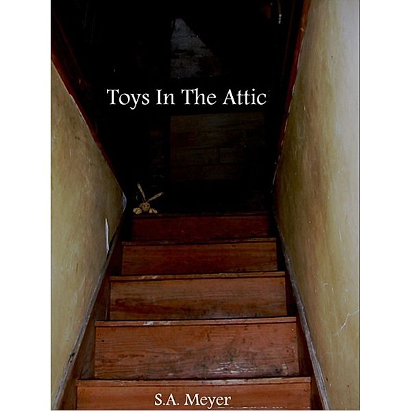 Toys In The Attic, S.A. Meyer