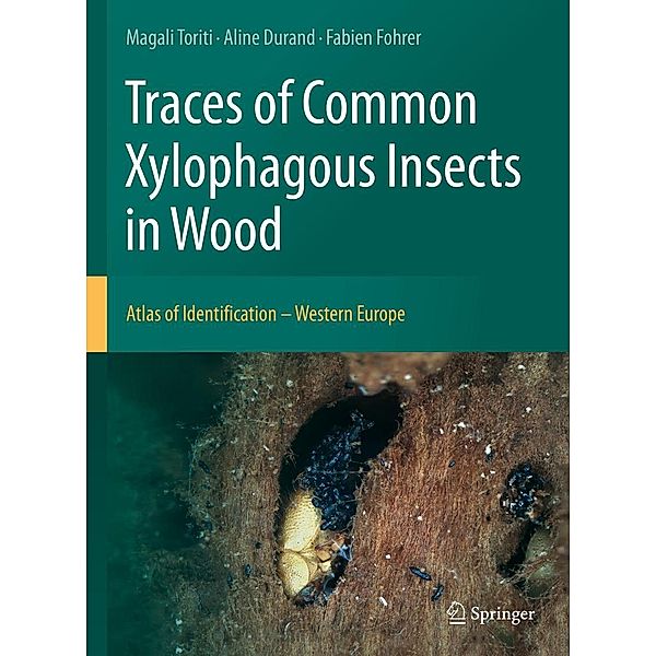 Traces of Common Xylophagous Insects in Wood, Magali Toriti, Aline Durand, Fabien Fohrer