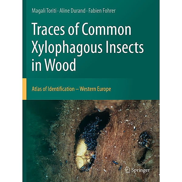 Traces of Common Xylophagous Insects in Wood, Magali Toriti, Aline Durand, Fabien Fohrer