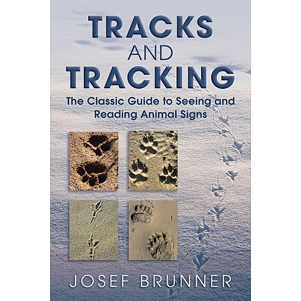 Tracks and Tracking, Josef Brunner
