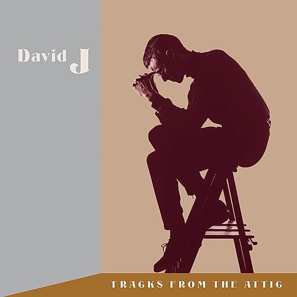 Tracks From The Attic, David J