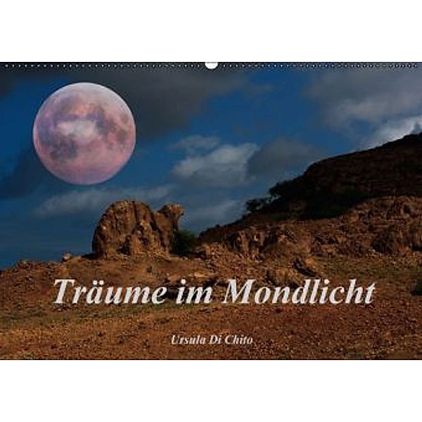 Träume im Mondlicht (Wandkalender 2016 DIN A2 quer), Ursula Di Chito
