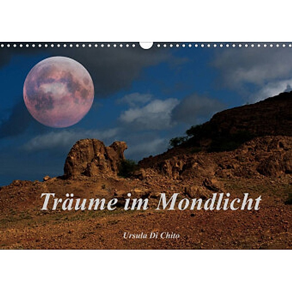 Träume im Mondlicht (Wandkalender 2022 DIN A3 quer), Ursula Di Chito