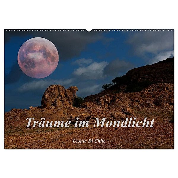 Träume im Mondlicht (Wandkalender 2024 DIN A2 quer), CALVENDO Monatskalender, Ursula Di Chito