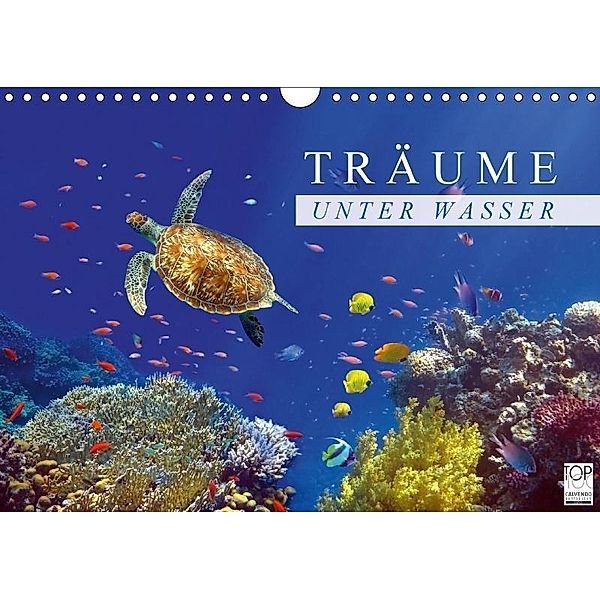 Träume unter Wasser (Wandkalender 2017 DIN A4 quer), Tina Melz