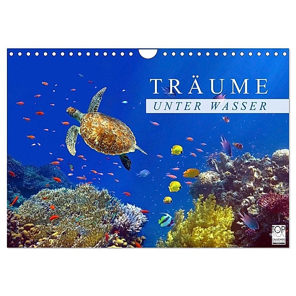 Träume unter Wasser (Wandkalender 2025 DIN A4 quer), CALVENDO Monatskalender, Calvendo, Tina Melz