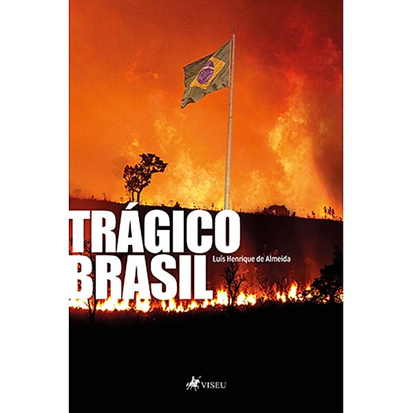 Trágico Brasil, Luís Henrique de Almeida