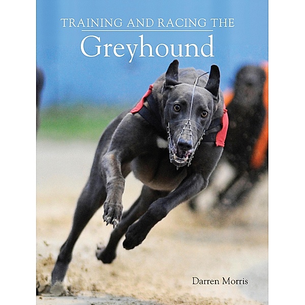 Training and Racing the Greyhound, Darren Morris