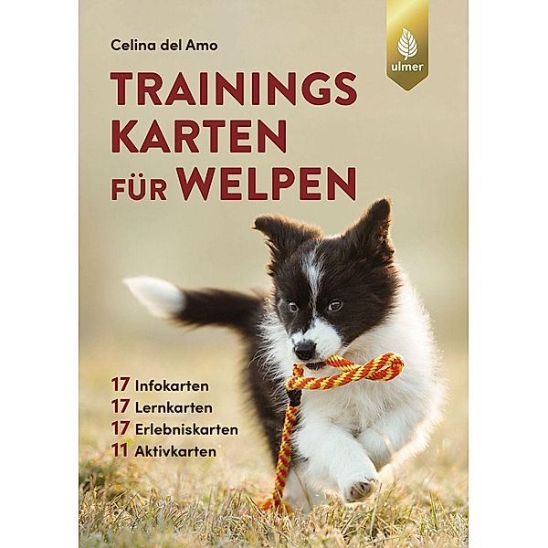 Trainingskarten für Welpen, Celina Del Amo