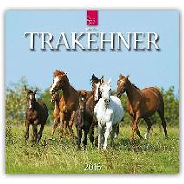 Trakehner 2016